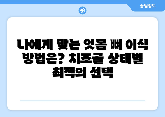 잇몸 뼈 이식 수술, 치조골 상태에 맞는 최적의 방법 찾기 | 잇몸 뼈 이식, 치조골 재건, 임플란트