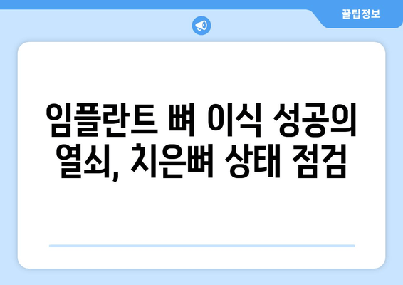 임플란트 뼈 이식, 성공적인 수술을 위한 치은뼈 상태 고려 | 임플란트, 뼈 이식, 치은뼈, 수술 계획, 성공률