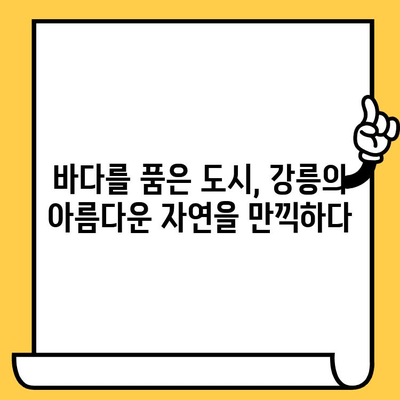 강릉 여행 완벽 가이드| 볼거리, 먹거리, 데이트 명소 총정리 | 강릉 여행, 강릉 가볼만한 곳, 강릉 데이트 코스