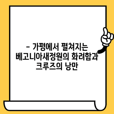 가평 로맨틱 데이트| 베고니아새정원과 크루즈 여행, 잊지 못할 추억 만들기 | 가평 데이트 코스, 연인 여행, 특별한 데이트