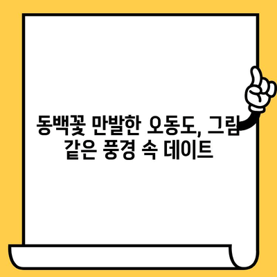 여수 오동도 동백열차 데이트 코스 추천| 그림 같은 풍경과 로맨틱한 추억 만들기 | 여수 여행, 데이트 코스, 오동도, 동백꽃, 사진 명소