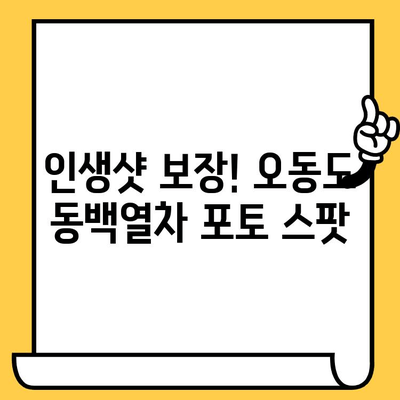여수 오동도 동백열차 데이트 코스 추천| 그림 같은 풍경과 로맨틱한 추억 만들기 | 여수 여행, 데이트 코스, 오동도, 동백꽃, 사진 명소