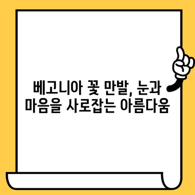 가평 베고니아 새정원에서 꽃 피는 봄, 크루즈 데이트로 설렘을 더하다 | 가평, 베고니아, 새정원, 데이트, 크루즈, 꽃놀이