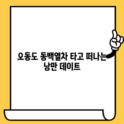 여수 오동도 동백열차, 저렴하고 로맨틱한 데이트 코스 추천 | 여수 가볼만한곳, 데이트 코스, 동백꽃