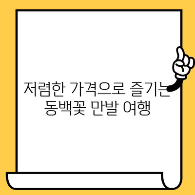 여수 오동도 동백열차, 저렴하고 로맨틱한 데이트 코스 추천 | 여수 가볼만한곳, 데이트 코스, 동백꽃