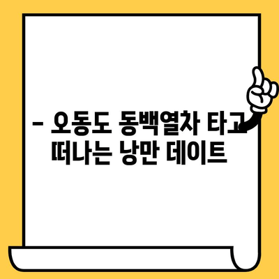 여수 오동도 동백 열차 데이트 코스 추천 | 낭만 가득한 겨울 여행