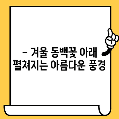 여수 오동도 동백 열차 데이트 코스 추천 | 낭만 가득한 겨울 여행