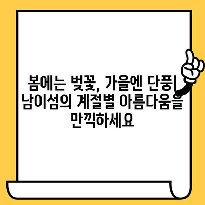 강원도 낭만 여행의 정점! 남이섬 데이트 코스 추천 | 커플 여행, 가볼만한곳, 봄 데이트, 가을 데이트