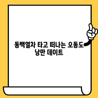 여수 오동도 데이트 코스 추천| 동백열차 타고 낭만 가득한 하루 | 여수 가볼만한 곳, 데이트 코스, 오동도, 동백꽃, 사진 명소