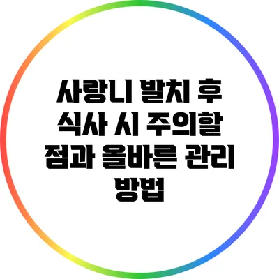 사랑니 발치 후 식사 시 주의할 점과 올바른 관리 방법