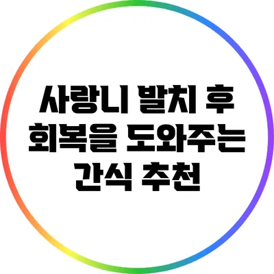 사랑니 발치 후 회복을 도와주는 간식 추천