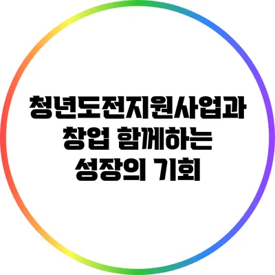 청년도전지원사업과 창업: 함께하는 성장의 기회