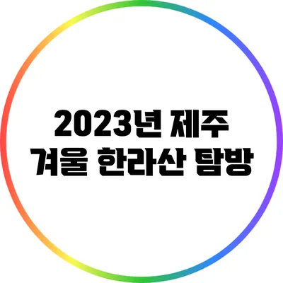2023년 제주 겨울 한라산 탐방