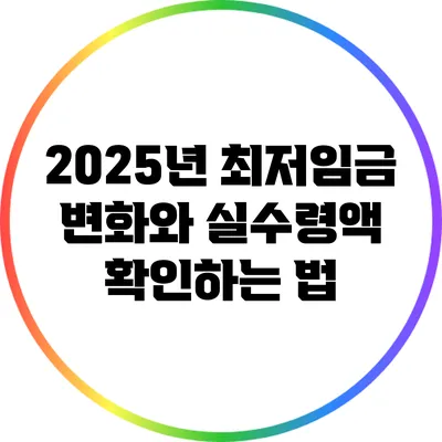 2025년 최저임금 변화와 실수령액 확인하는 법