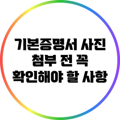기본증명서 사진 첨부 전 꼭 확인해야 할 사항