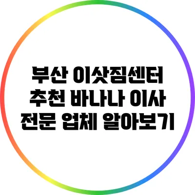 부산 이삿짐센터 추천: 바나나 이사 전문 업체 알아보기