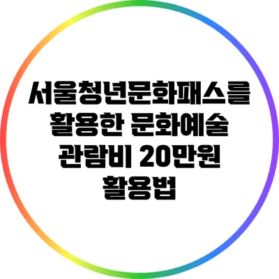 서울청년문화패스를 활용한 문화예술 관람비 20만원 활용법