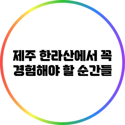 제주 한라산에서 꼭 경험해야 할 순간들