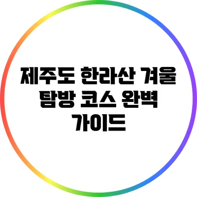 제주도 한라산 겨울 탐방 코스 완벽 가이드