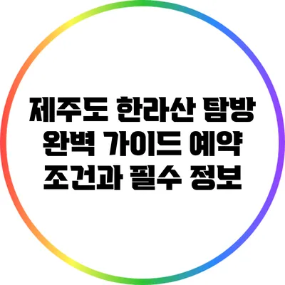 제주도 한라산 탐방 완벽 가이드: 예약 조건과 필수 정보