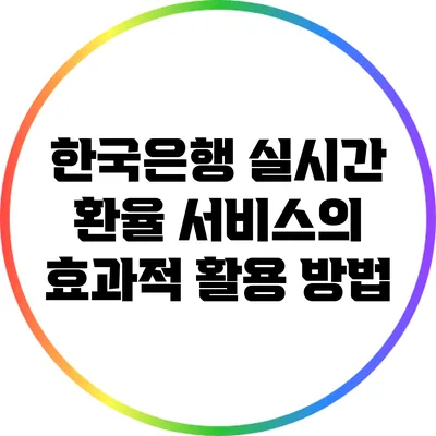 한국은행 실시간 환율 서비스의 효과적 활용 방법