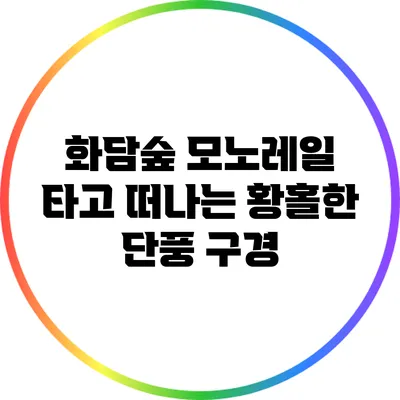 화담숲 모노레일 타고 떠나는 황홀한 단풍 구경