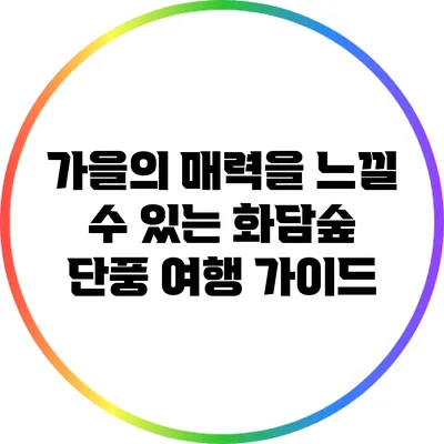 가을의 매력을 느낄 수 있는 화담숲 단풍 여행 가이드