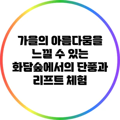 가을의 아름다움을 느낄 수 있는 화담숲에서의 단풍과 리프트 체험