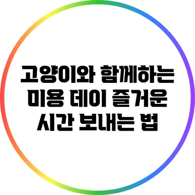 고양이와 함께하는 미용 데이: 즐거운 시간 보내는 법