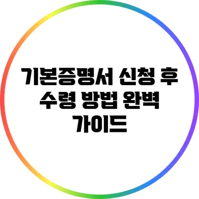 기본증명서 신청 후 수령 방법 완벽 가이드