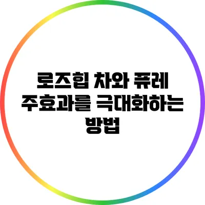 로즈힙 차와 퓨레: 주효과를 극대화하는 방법