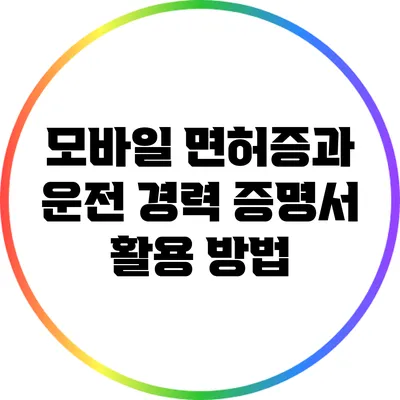 모바일 면허증과 운전 경력 증명서 활용 방법