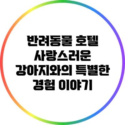 반려동물 호텔: 사랑스러운 강아지와의 특별한 경험 이야기