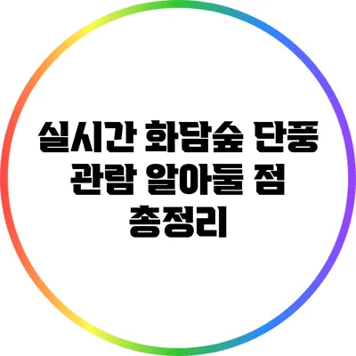 실시간 화담숲 단풍 관람: 알아둘 점 총정리