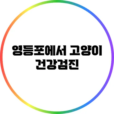 영등포에서 고양이 건강검진