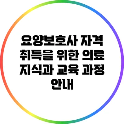 요양보호사 자격 취득을 위한 의료 지식과 교육 과정 안내