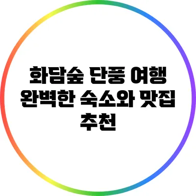 화담숲 단풍 여행: 완벽한 숙소와 맛집 추천