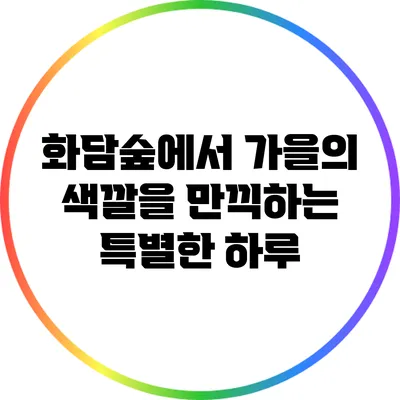 화담숲에서 가을의 색깔을 만끽하는 특별한 하루