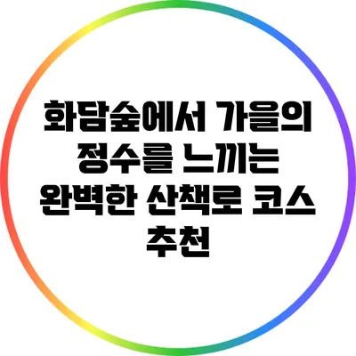 화담숲에서 가을의 정수를 느끼는 완벽한 산책로 코스 추천