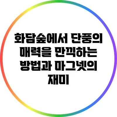 화담숲에서 단풍의 매력을 만끽하는 방법과 마그넷의 재미