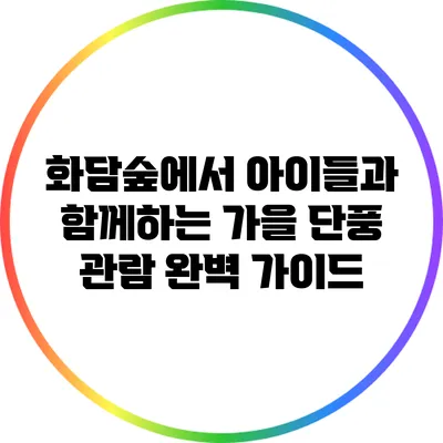 화담숲에서 아이들과 함께하는 가을 단풍 관람 완벽 가이드