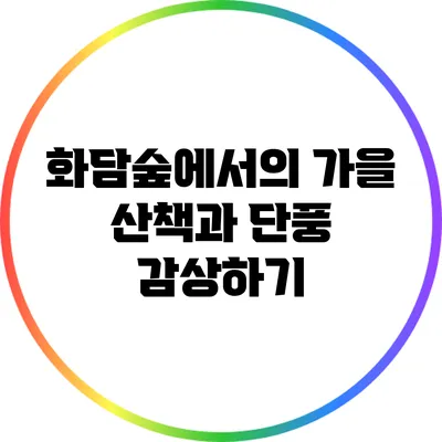 화담숲에서의 가을 산책과 단풍 감상하기