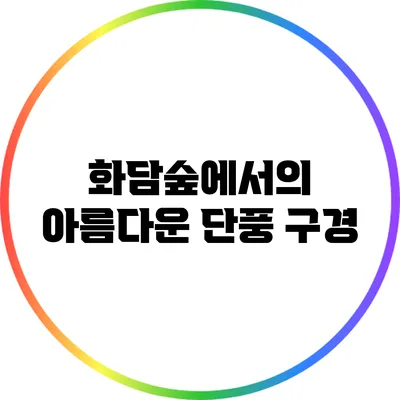 화담숲에서의 아름다운 단풍 구경