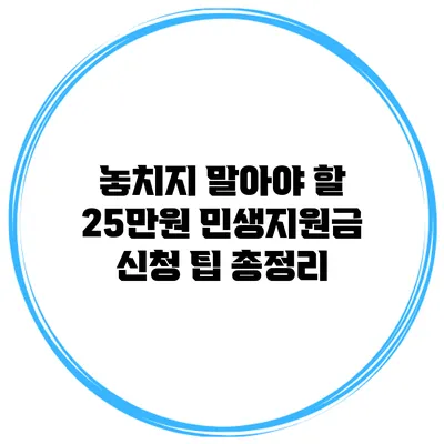 놓치지 말아야 할 25만원 민생지원금 신청 팁 총정리