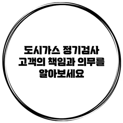 도시가스 정기검사: 고객의 책임과 의무를 알아보세요
