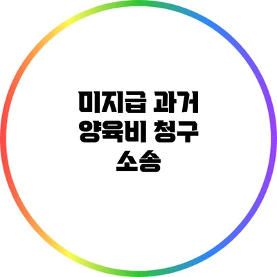 미지급 과거 양육비 청구 소송