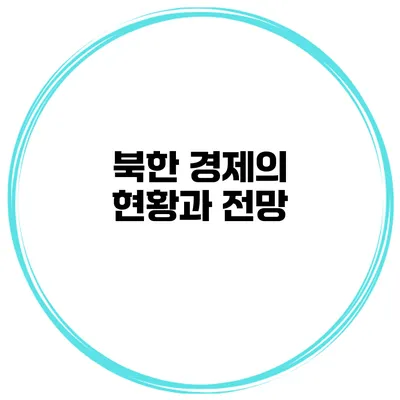 북한 경제의 현황과 전망