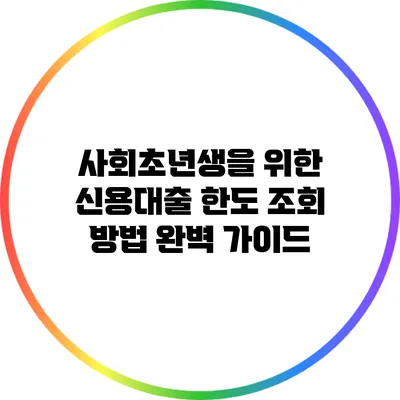 사회초년생을 위한 신용대출 한도 조회 방법 완벽 가이드