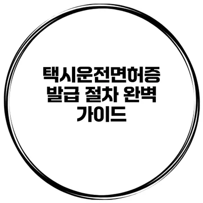 택시운전면허증 발급 절차 완벽 가이드