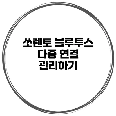 쏘렌토 블루투스 다중 연결 관리하기